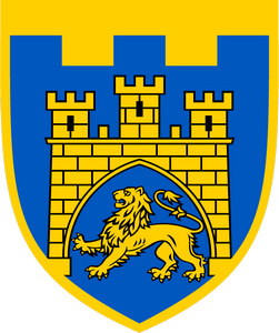 125 окрема бригада територіальної оборони